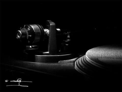 roots photo dub