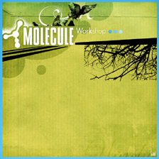 molecule