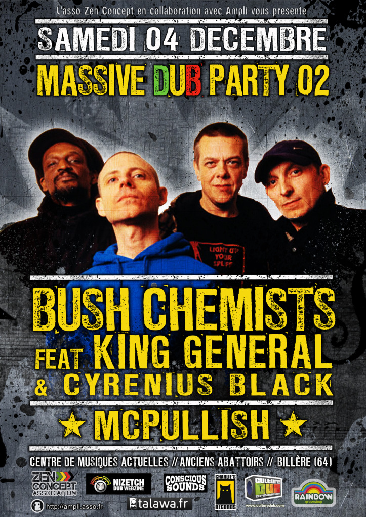 fly_Massive DuB Party 02